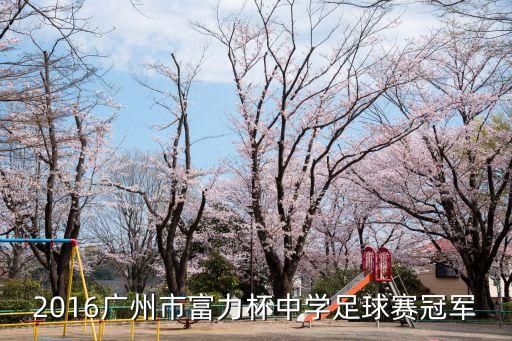 2017廣州市富力杯決賽，昨天晚上廣州富力北京國安誰贏了