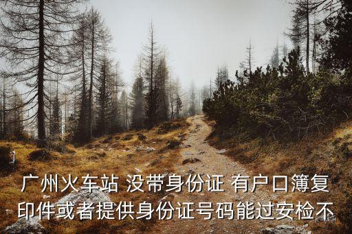 廣州過關(guān)安檢，廣州火車站 沒帶身份證 有戶口簿復(fù)印件或者提供身份證號(hào)碼能過安檢不
