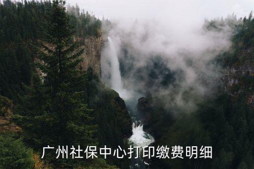 社保明細單 廣州，廣州社保中心打印繳費明細