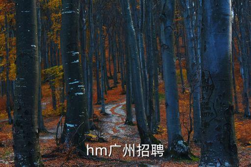 hm廣州招聘