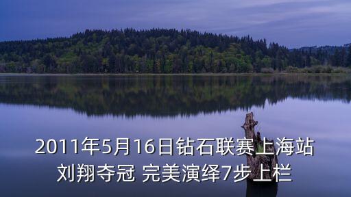 2011年5月16日鉆石聯(lián)賽上海站劉翔奪冠 完美演繹7步上欄