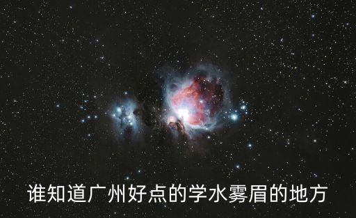 誰知道廣州好點的學水霧眉的地方
