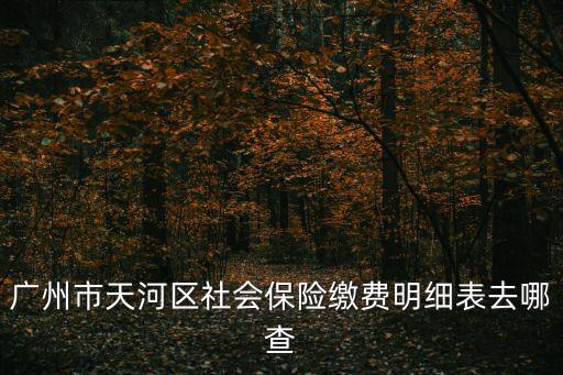 廣州市天河區社會保險繳費明細表去哪查