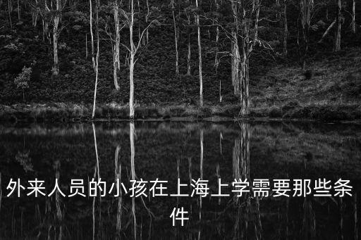 上海市楊行中心校入學條件，外來人員的小孩在上海上學需要那些條件
