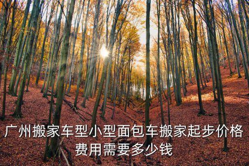 廣州搬家車型小型面包車搬家起步價格費用需要多少錢