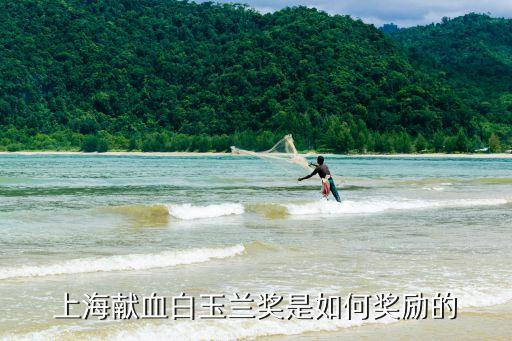 2020上海市白玉蘭榮譽獎，第十八屆白玉蘭獎最佳女主角是誰