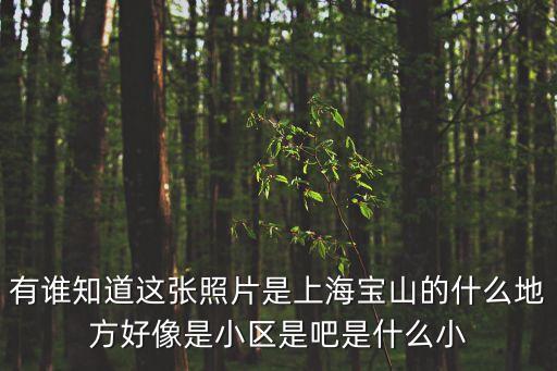 有誰知道這張照片是上海寶山的什么地方好像是小區(qū)是吧是什么小