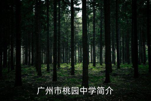 廣州市桃園中學簡介