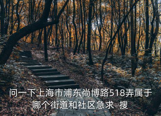 問一下上海市浦東尚博路518弄屬于哪個(gè)街道和社區(qū)急求  搜