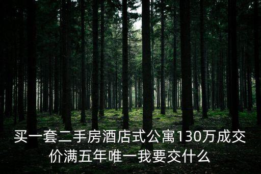 買一套二手房酒店式公寓130萬成交價滿五年唯一我要交什么