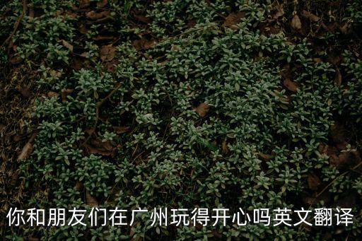 你和朋友們在廣州玩得開心嗎英文翻譯