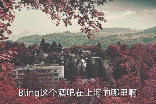 Bling這個酒吧在上海的哪里啊