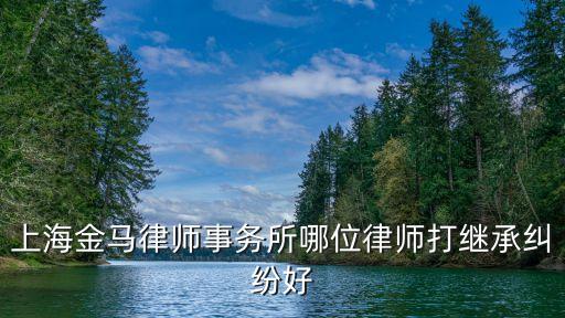 上海市金馬律師事務所居長駭，上海閘北區(qū)律師最好的是誰