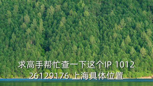 求高手幫忙查一下這個(gè)IP 101226129176 上海具體位置