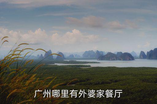 廣州外婆家萬達廣場店，哪里可以吃到正宗麻辣外婆麻辣燙我想去試試