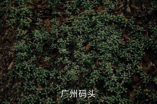 廣州國際游輪碼頭，廣州碼頭