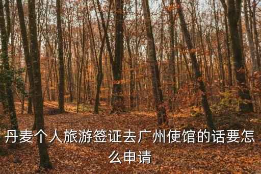 丹麥個人旅游簽證去廣州使館的話要怎么申請