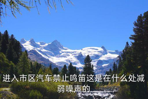 上海市機動車禁鳴，進入市區汽車禁止鳴笛這是在什么處減弱噪聲的