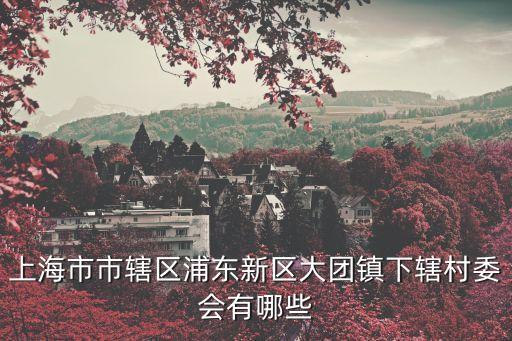 上海市市轄區浦東新區大團鎮下轄村委會有哪些