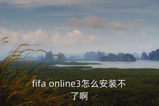 廣州體育 fifaonline3，fifa online3怎么安裝不了啊