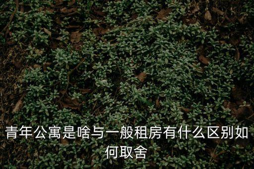 青年公寓是啥與一般租房有什么區(qū)別如何取舍