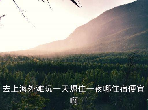 去上海外灘玩一天想住一夜哪住宿便宜啊
