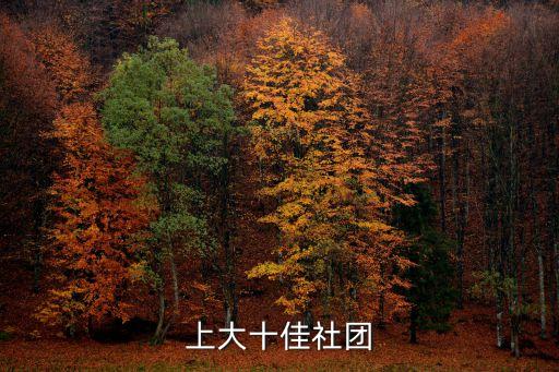 上大十佳社團