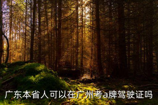 廣東本省人可以在廣州考a牌駕駛證嗎
