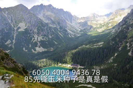 廣州南疏種業，ld5009葵花種子價格