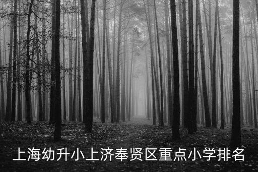 上海幼升小上濟奉賢區(qū)重點小學(xué)排名