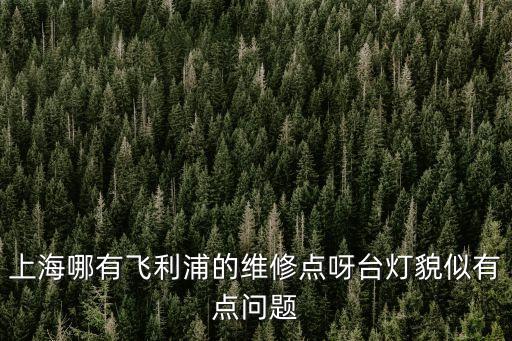 上海哪有飛利浦的維修點呀臺燈貌似有點問題