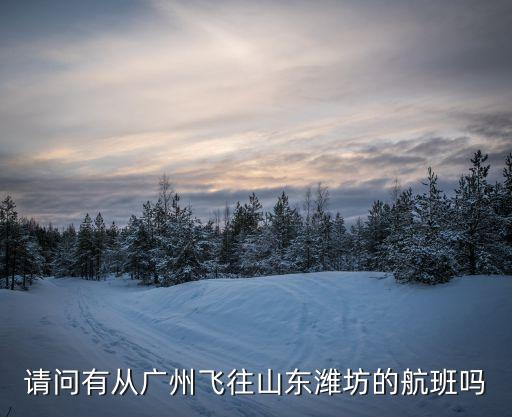廣州 濰坊 航班，請問有從廣州飛往山東濰坊的航班嗎