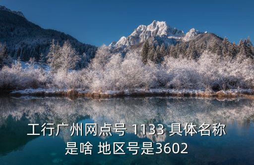 工行廣州網點號 1133 具體名稱是啥 地區號是3602