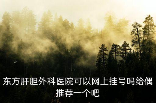 東方肝膽外科醫(yī)院可以網上掛號嗎給偶推薦一個吧