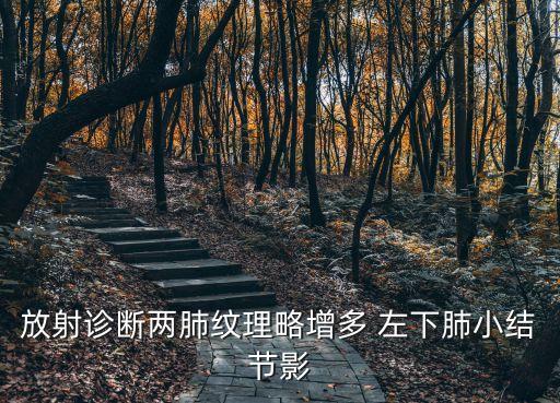 放射診斷兩肺紋理略增多 左下肺小結節影