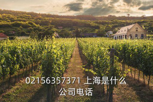02156357371 上海是什么公司電話