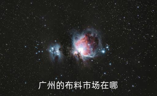 廣州哪里有不倒絨布料，請問廣州順德佛山中山 東莞這些地方哪里有珊瑚絨布料批發(fā)