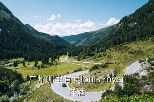 廣州弗泰吏哪里賣的，廣州哪里有賣louis royer洋酒