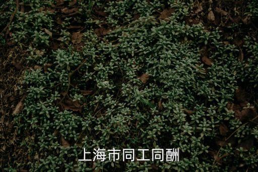 上海市經信委 宮晨，上海市同工同酬
