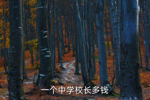 一個中學校長多錢