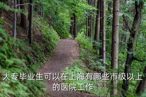 大專畢業(yè)生可以在上海有哪些市級(jí)以上的醫(yī)院工作