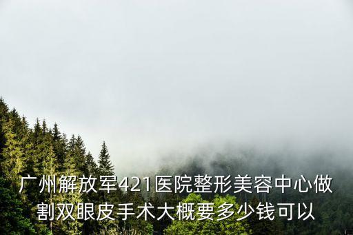 廣州解放軍421醫(yī)院整形美容中心做割雙眼皮手術(shù)大概要多少錢可以