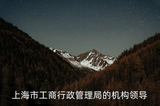 上海市工商行政管理局的機構(gòu)領(lǐng)導(dǎo)