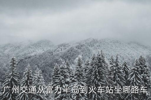 富力半島 廣州，廣州富力半島屬什么區