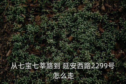 從七寶七莘路到 延安西路2299號 怎么走