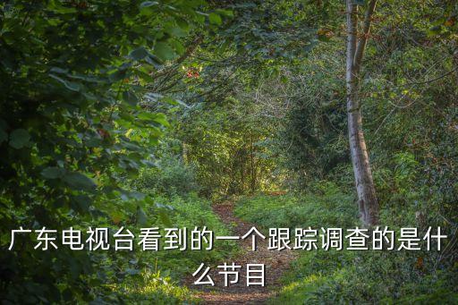 廣東電視臺看到的一個跟蹤調查的是什么節目