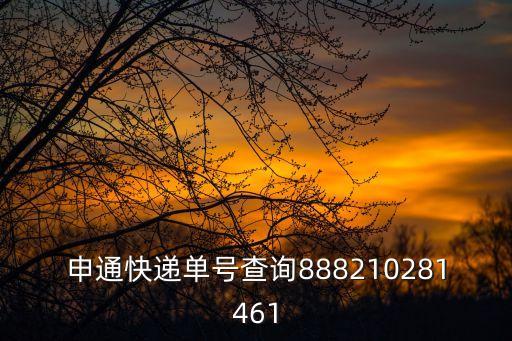 申通快遞單號查詢888210281461