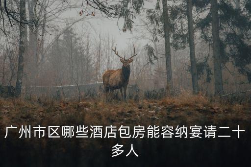 廣州酒家包廂，請教親們一下廣州市的黃埔區(qū)和海珠區(qū)有包房能擺10桌酒席的酒家嗎