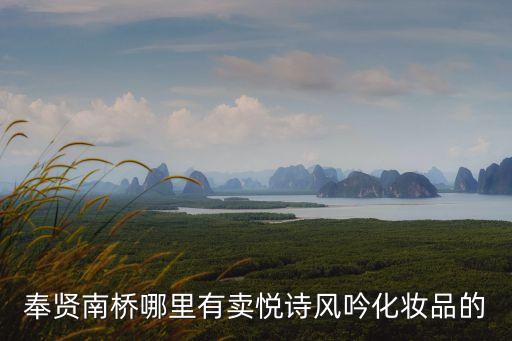 上海市奉賢區哪里有賣化妝品的，奉賢南橋哪里有賣悅詩風吟化妝品的