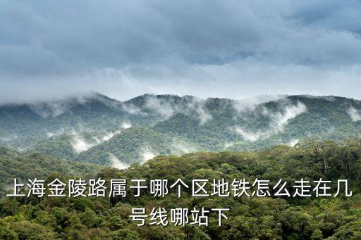 上海金陵路屬于哪個區地鐵怎么走在幾號線哪站下